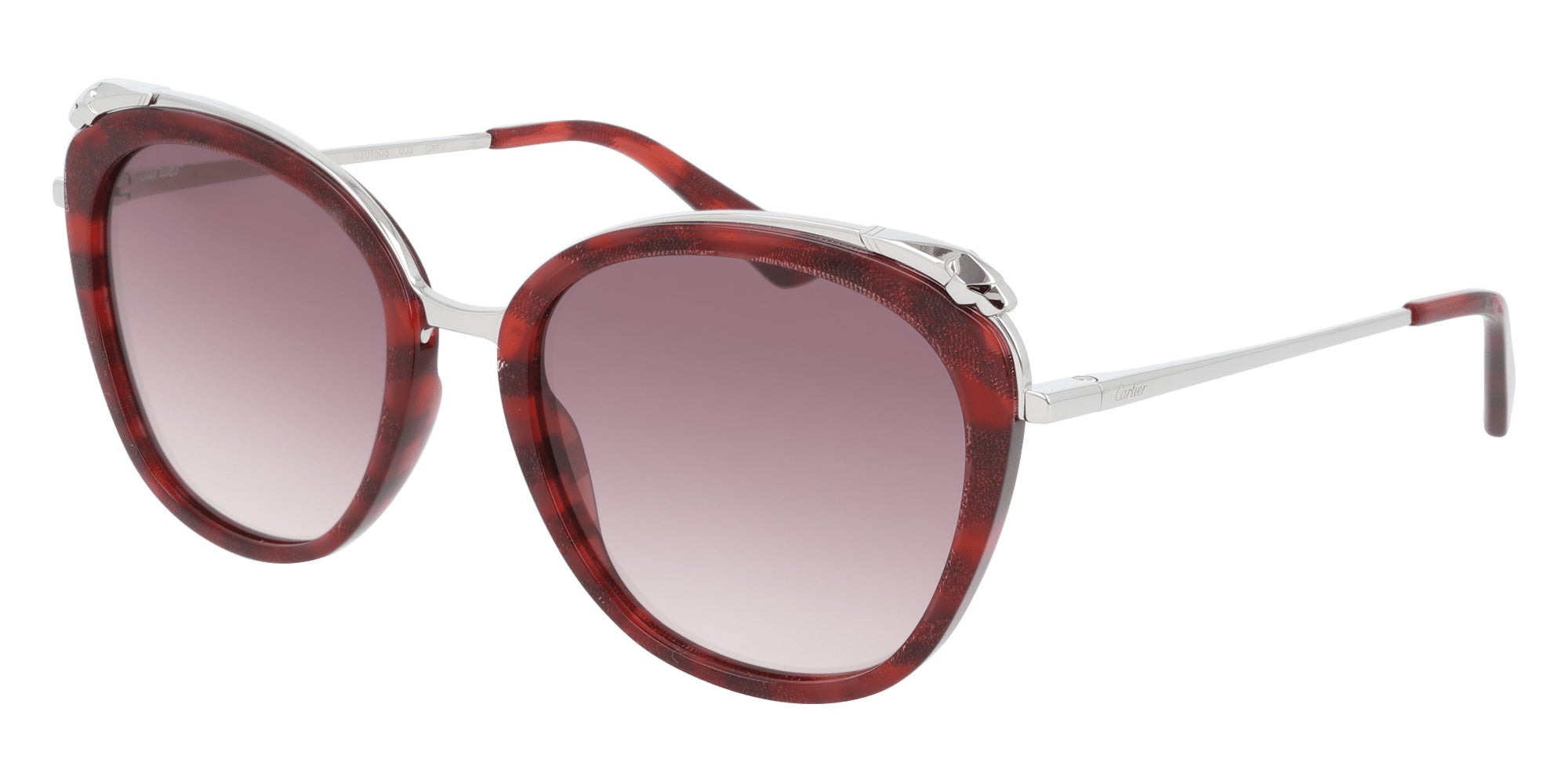 Cartier CT0150S 003 55 - Havana/Silver / Violet AR #id:ct0150s003_s:102100