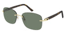 Cartier CT0227S 002 58 - Gold/Havana / Green AR #id:ct0227s002_s:102100