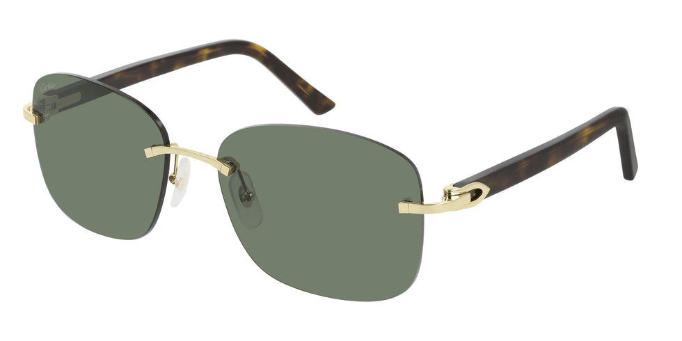 Cartier CT0227S 002 58 - Gold/Havana / Green AR #id:ct0227s002_s:102100