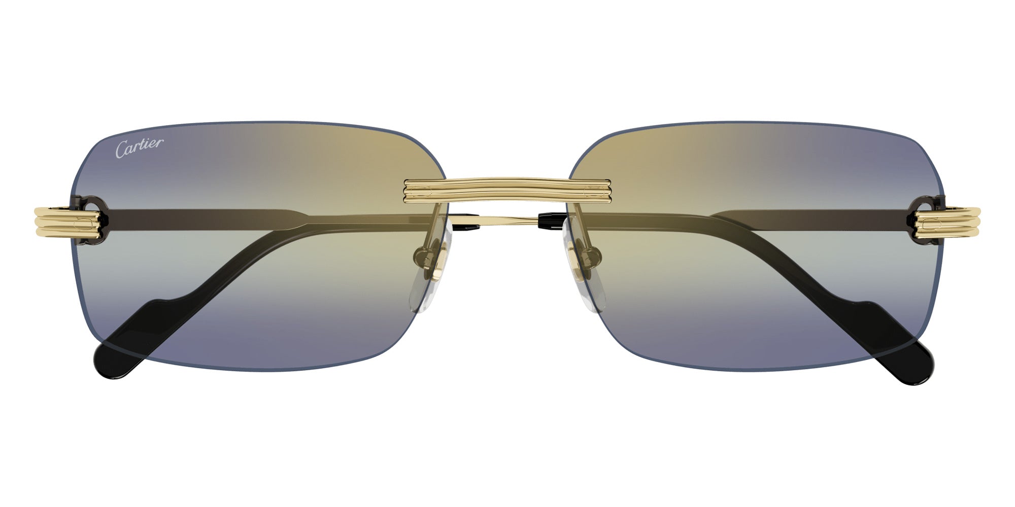 Cartier CT0271S Rectangle Sunglasses | EyeOns.com