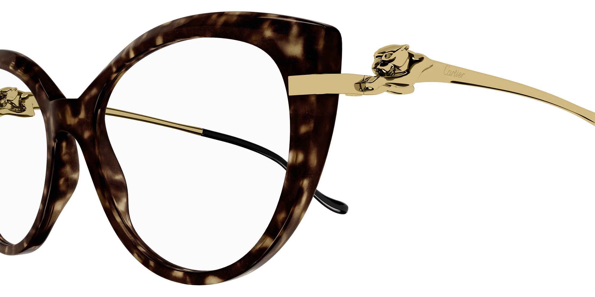 Cartier CT0283O 002 54 - Havana/Gold #id:ct0283o002_s:100110
