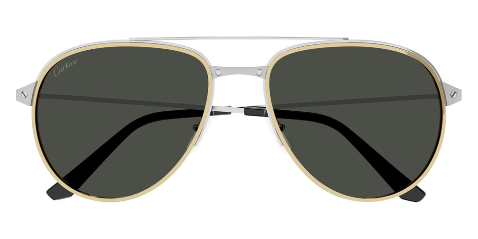Cartier CT0325S 005 59 - Silver / Gray AR Polarized #id:ct0325s005_s:100100