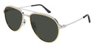 Cartier CT0325S 005 59 - Silver / Gray AR Polarized #id:ct0325s005_s:100105