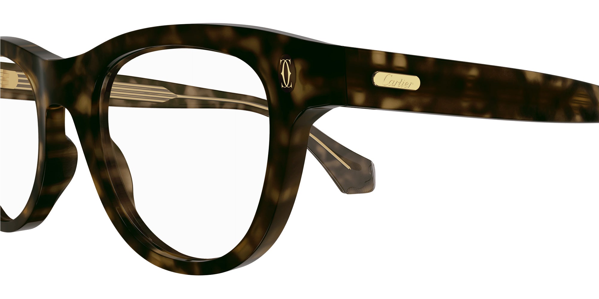 Cartier CT0340O 005 53 - Havana #id:ct0340o005_s:102110