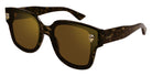 Cartier CT0357S 002 63 - Havana / Brown Multi Treatment #id:ct0357s002_s:102105