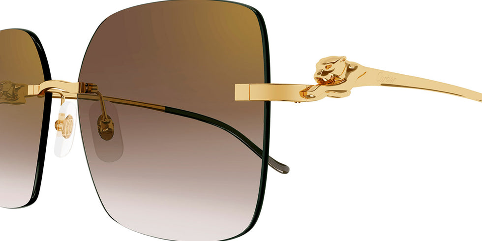 Cartier - CT0359S