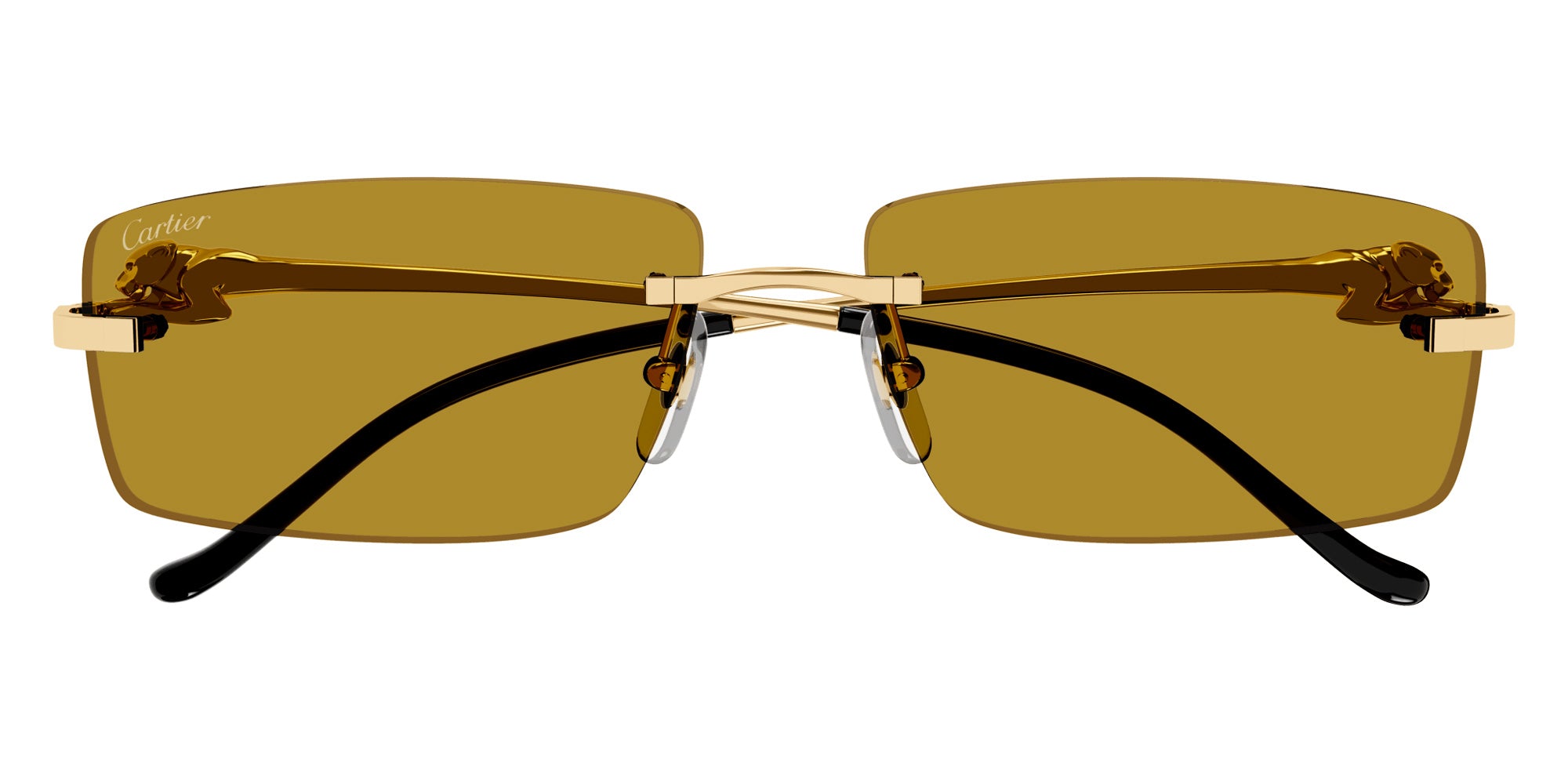 Cartier CT0430S Rectangle Sunglasses | EyeOns.com
