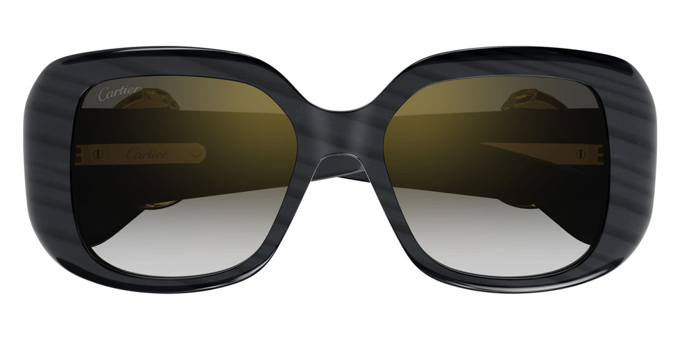 Cartier CT0471S 003 54 - Gray / Gray Multi Treatment #id:ct0471s003_s:100100