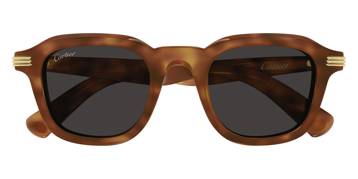Cartier CT0536S 006 49 - Havana / Gray AR #id:ct0536s006_s:100100