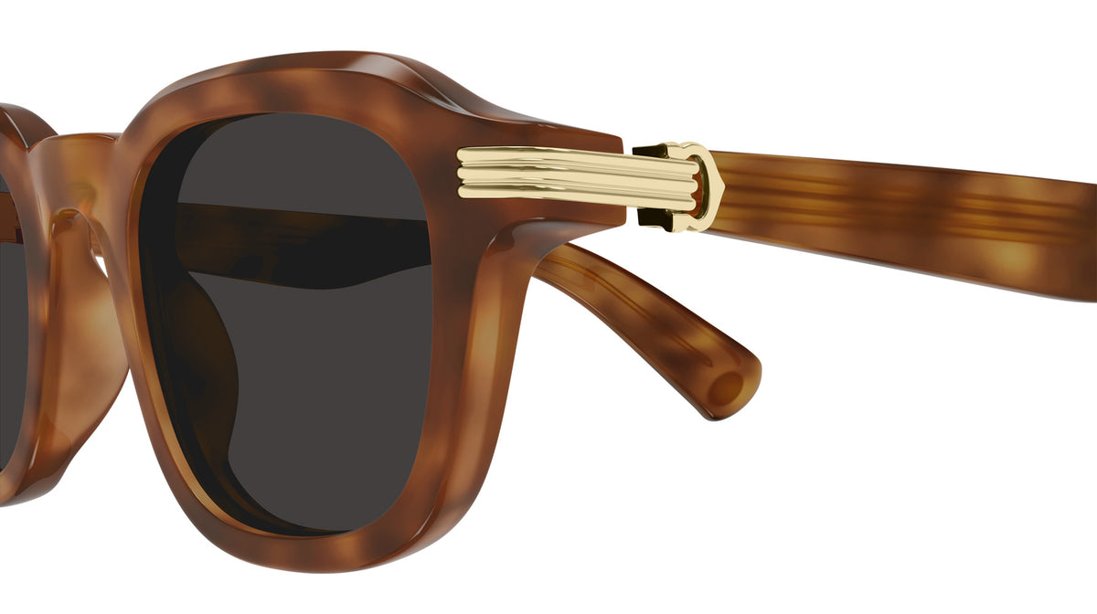 Cartier CT0536S 006 49 - Havana / Gray AR #id:ct0536s006_s:100110