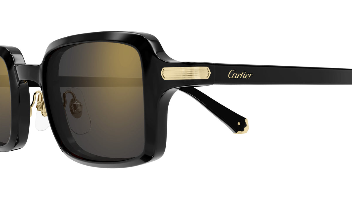 Cartier CT0539S 001 49 - Black / Gray Multi Treatment #id:ct0539s001_s:100110