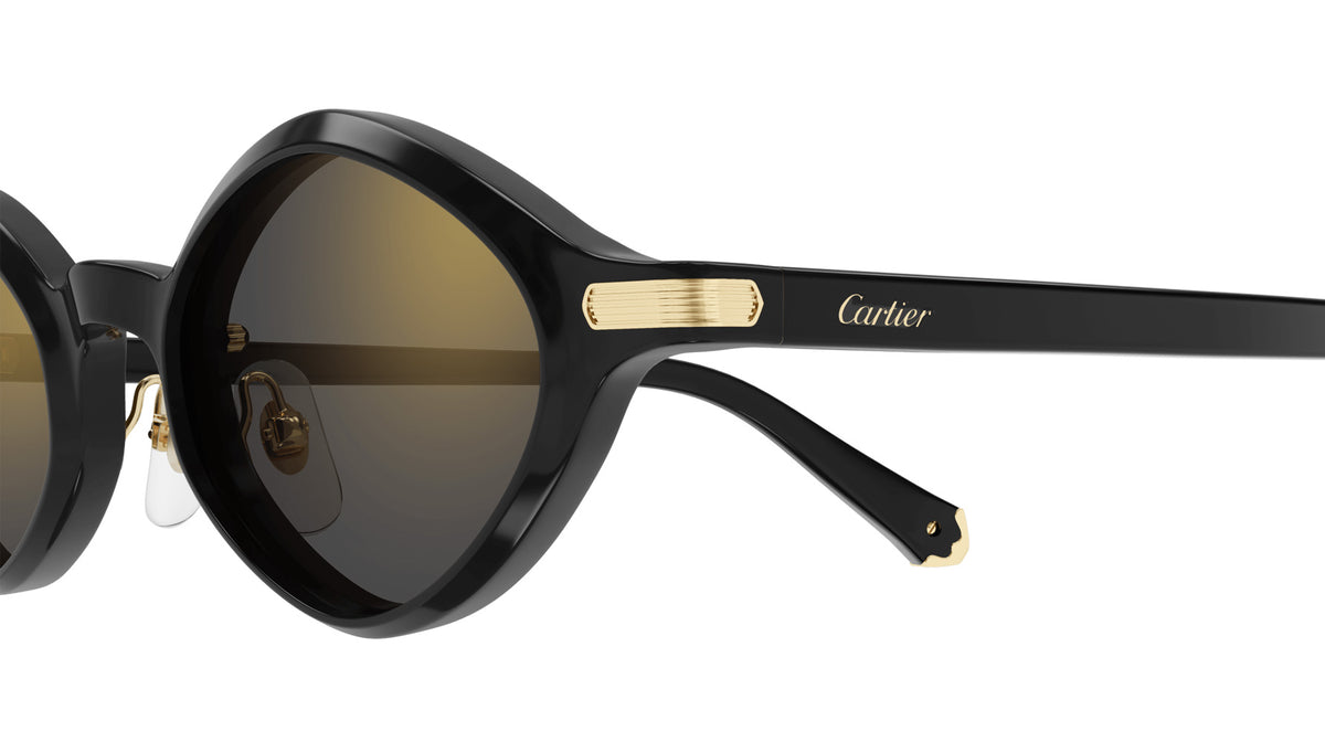 Cartier CT0540S 001 48 - Black / Gray Multi Treatment #id:ct0540s001_s:100110