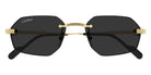 Cartier CT0616S 001 54 - Gold / Gray AR #id:ct0616s001_s:100100