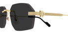 Cartier CT0616S 001 54 - Gold / Gray AR #id:ct0616s001_s:100110