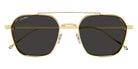 Cartier CT0618S 001 53 - Gold / Gray AR #id:ct0618s001_s:100100