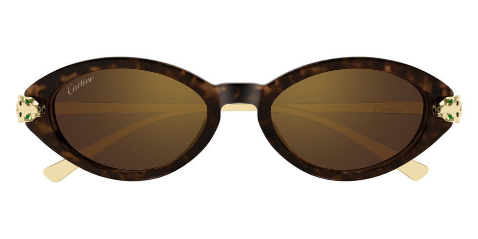 Cartier CT0634S 002 52 - Havana/Gold / Brown Multi Treatment #id:ct0634s002_s:102100
