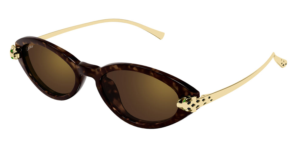 Cartier CT0634S 002 52 - Havana/Gold / Brown Multi Treatment #id:ct0634s002_s:102105
