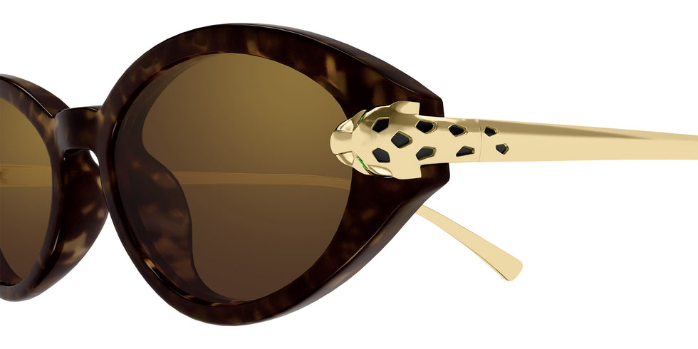 Cartier CT0634S 002 52 - Havana/Gold / Brown Multi Treatment #id:ct0634s002_s:102110
