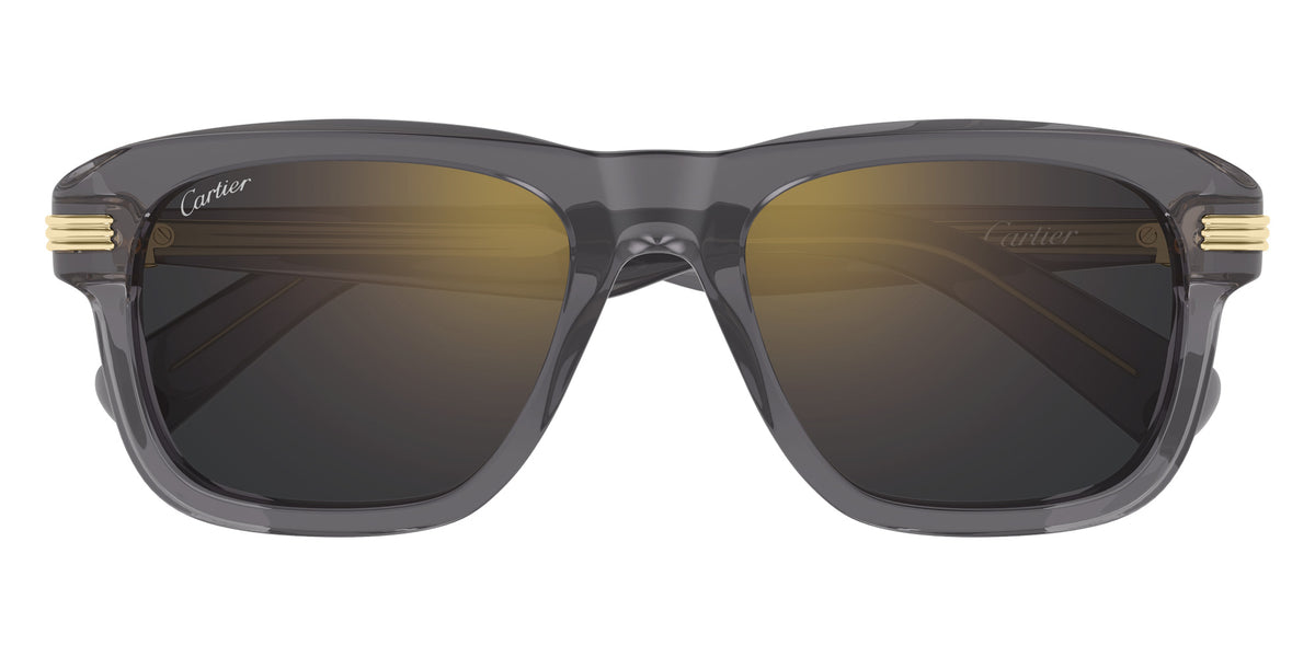 Cartier CT0657S 003 55 - Gray / Gray Multi Treatment #id:ct0657s003_s:102100