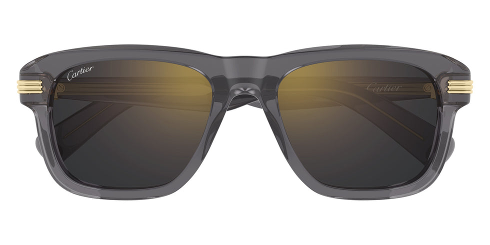 Cartier CT0657S 003 55 - Gray / Gray Multi Treatment #id:ct0657s003_s:102100