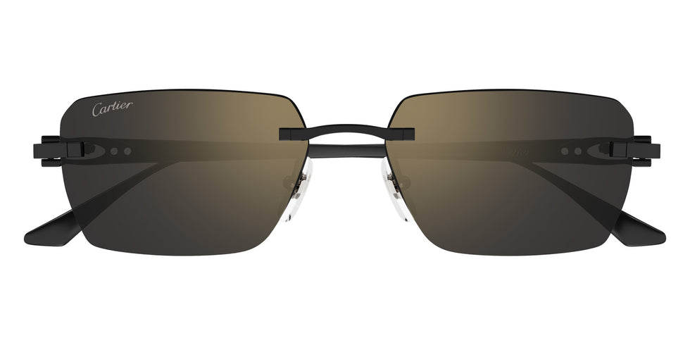 Cartier CT0660S 001 55 - Black / Gray Multi Treatment #id:ct0660s001_s:100100