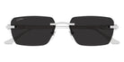 Cartier CT0660S 003 55 - Silver / Gray AR #id:ct0660s003_s:104100