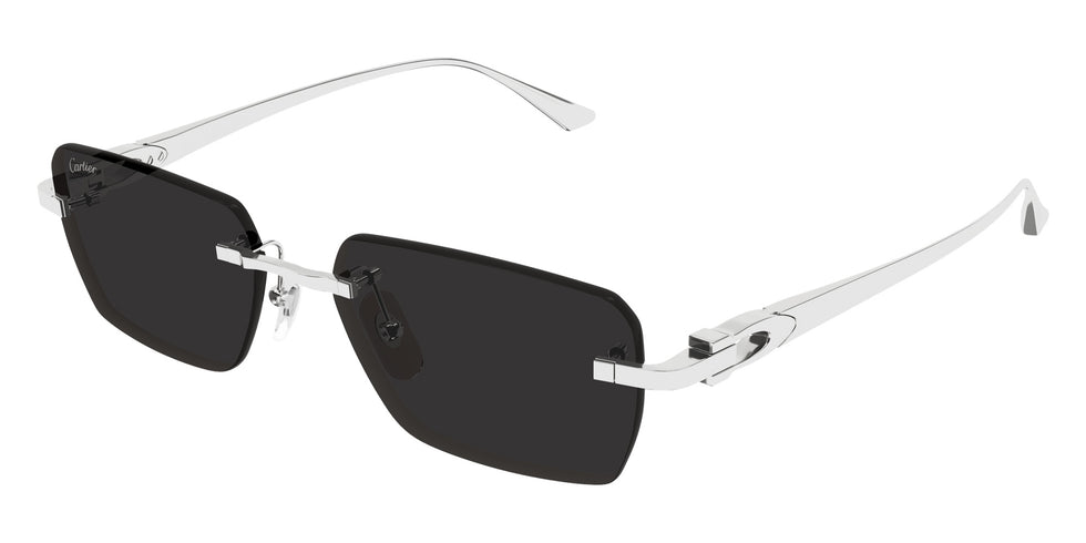 Cartier CT0660S 003 55 - Silver / Gray AR #id:ct0660s003_s:104105