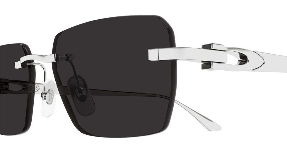 Cartier CT0660S 003 55 - Silver / Gray AR #id:ct0660s003_s:104110