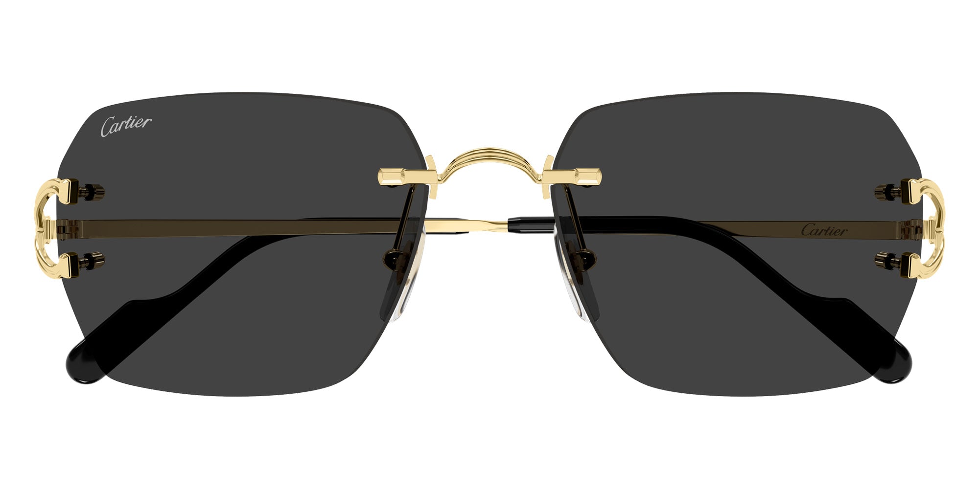 Cartier CT0664S Square Sunglasses | EyeOns.com