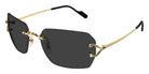Cartier CT0664S 001 59 - Gold / Gray AR #id:ct0664s001_s:100105
