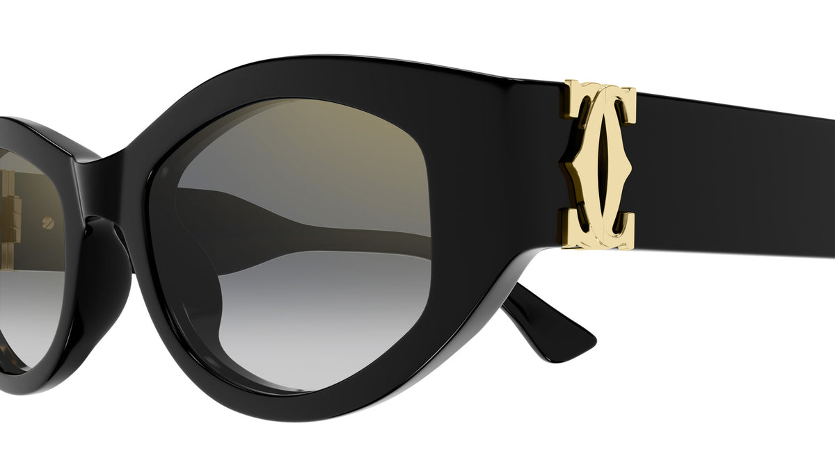 Cartier CT0667S 001 51 - Black / Gray Multi Treatment #id:ct0667s001_s:100110
