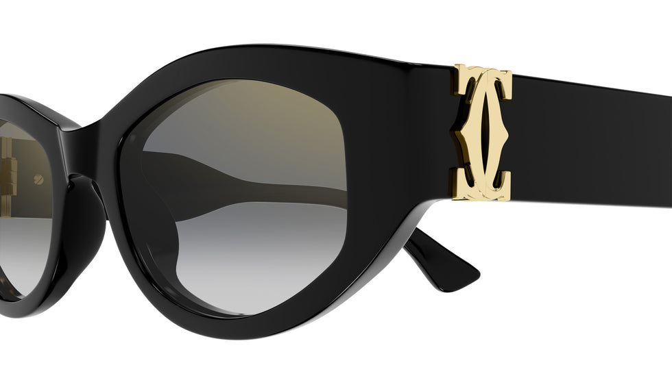 Cartier CT0667S 001 51 - Black / Gray Multi Treatment #id:ct0667s001_s:100110