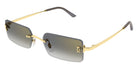 Cartier CT0672S 005 56 - Gold / Gray Multi Treatment #id:ct0672s005_s:100105