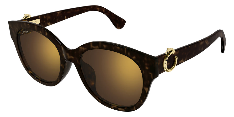 Cartier CT0680SK 002 56 - Havana / Brown Multi Treatment #id:ct0680sk002_s:102105