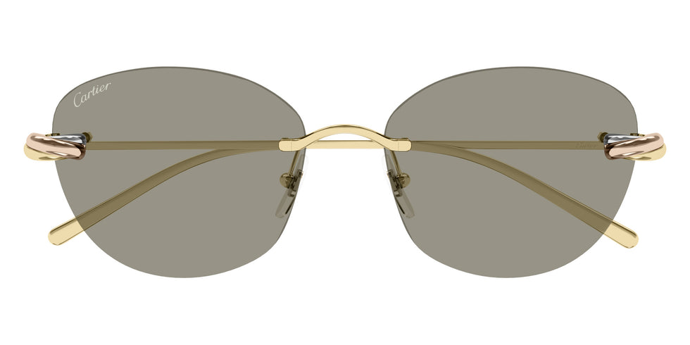 Cartier CT0685S 003 57 - Gold / Brown AR #id:ct0685s003_s:100100