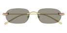 Cartier CT0686S 003 55 - Gold / Brown AR #id:ct0686s003_s:102100