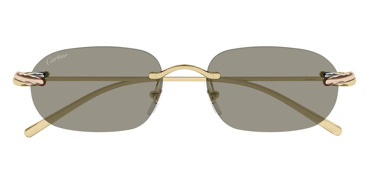 Cartier CT0686S 003 55 - Gold / Brown AR #id:ct0686s003_s:102100