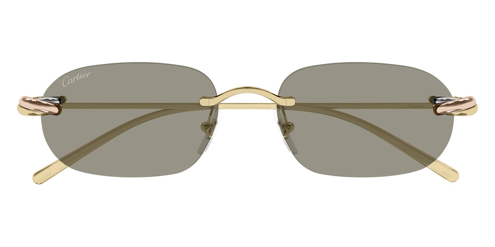 Cartier CT0686S 003 55 - Gold / Brown AR #id:ct0686s003_s:102100