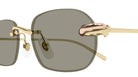 Cartier CT0686S 003 55 - Gold / Brown AR #id:ct0686s003_s:102110