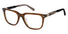 Champion BUDDYCP C02 51 - Brown Horn #id:cuocubuddycp02_s:102100