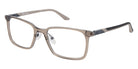 Champion CFIT302 C02 55 - Taupe Crystal #id:cuocucfit30202_s:102100