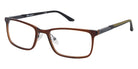 Champion CFIT401X C02 59 - Brown Crystal #id:cuocucfit401x02_s:102100