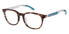 Champion JUBI C01 48 - Brown Tortoise #id:cuocujubi01_s:100100