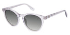 Champion REMY C02 52 - Translucent Gray #id:cuscuremy02_s:102100