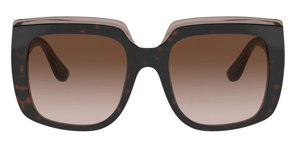 Havana on Transparent Brown / Gradient Brown / 54-20-145