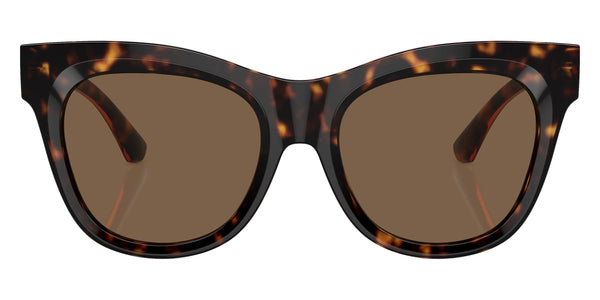 Dark Havana / Dark Brown / 54-19-140