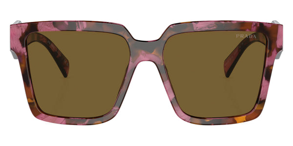 Tortoise Cognac Begonia / Dark Brown / 56-16-140