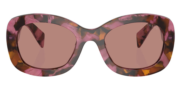 Tortoise Cognac Begonia / Light Brown / 55-21-145