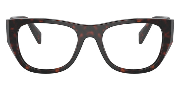 Root Tortoise / 50-19-145