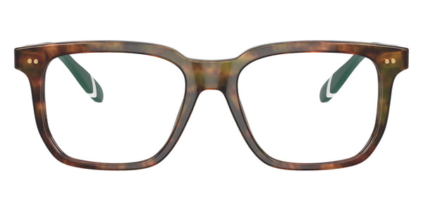 Shiny Brown Tortoise/Green / 53-18-145